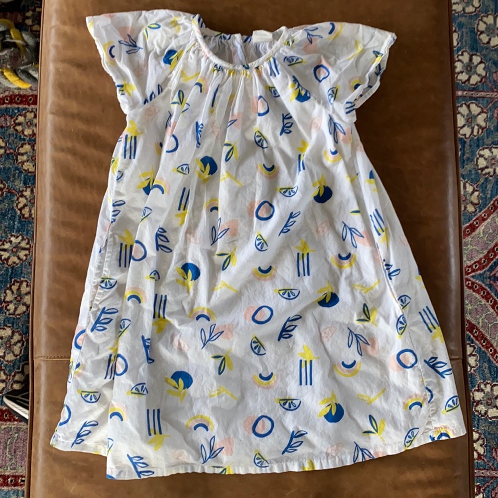 Stem Canyon Print A-Line Dress
